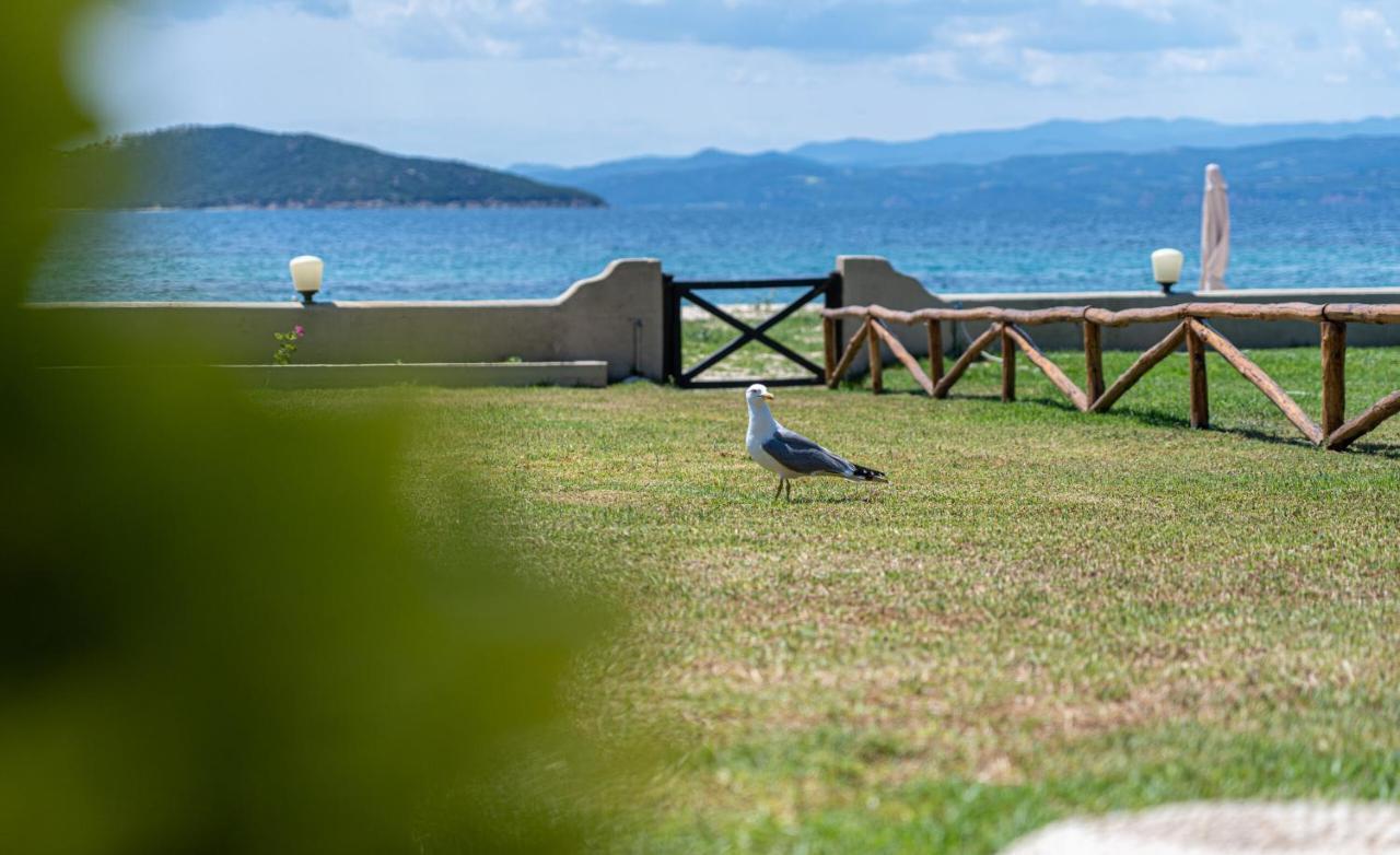 Alemar Estates Ouranoupolis Villa Bagian luar foto